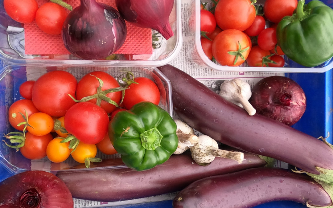 Muddy Fork looks forward