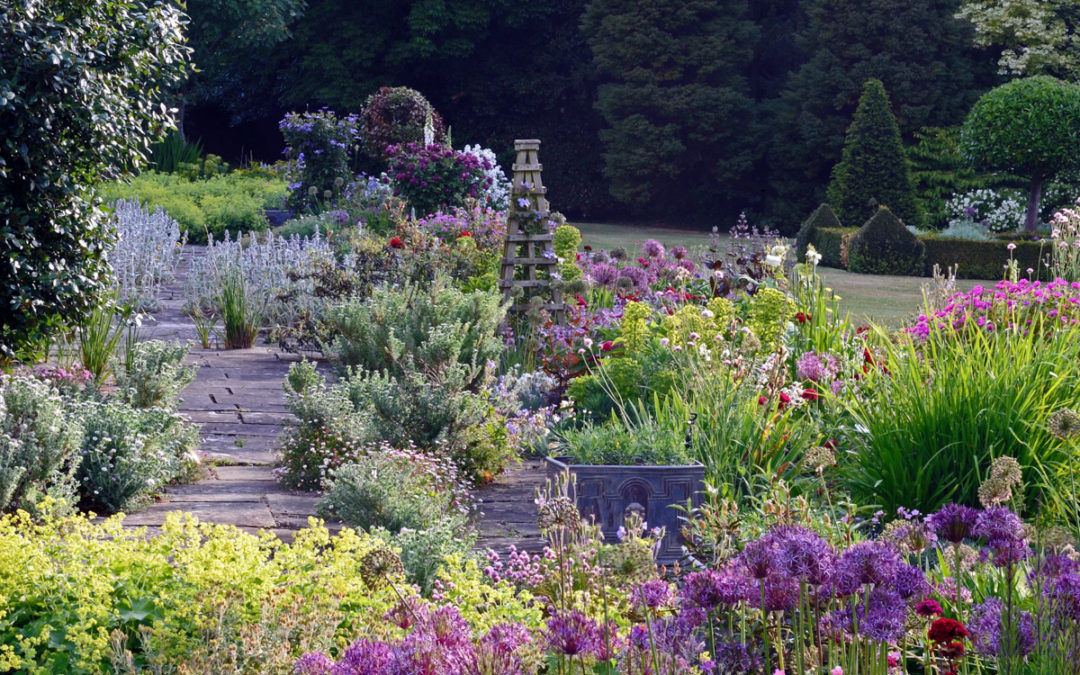 National Garden Scheme in lockdown & beyond