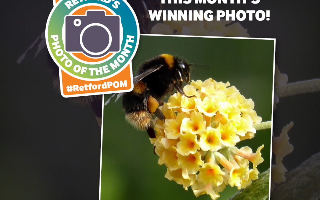 Retford’s Photo of the Month – March 2019 winner!