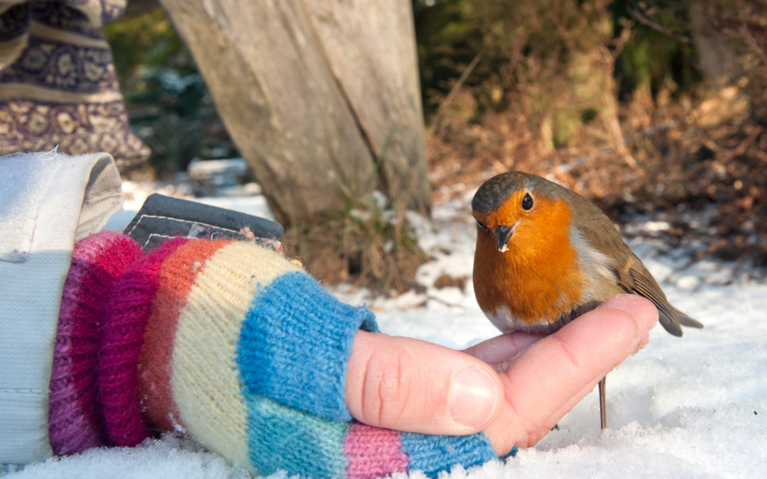 Reflecting on what’s important during the festive season