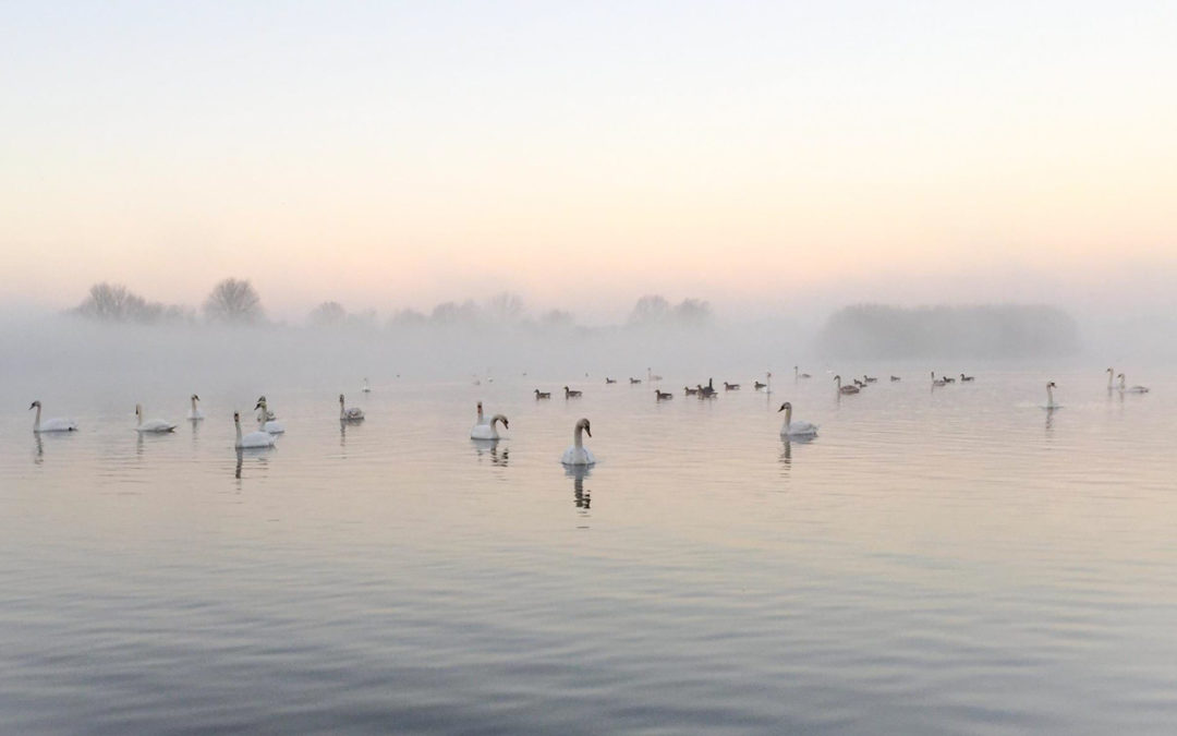 Wrap up for a bracing wildlife walk this winter