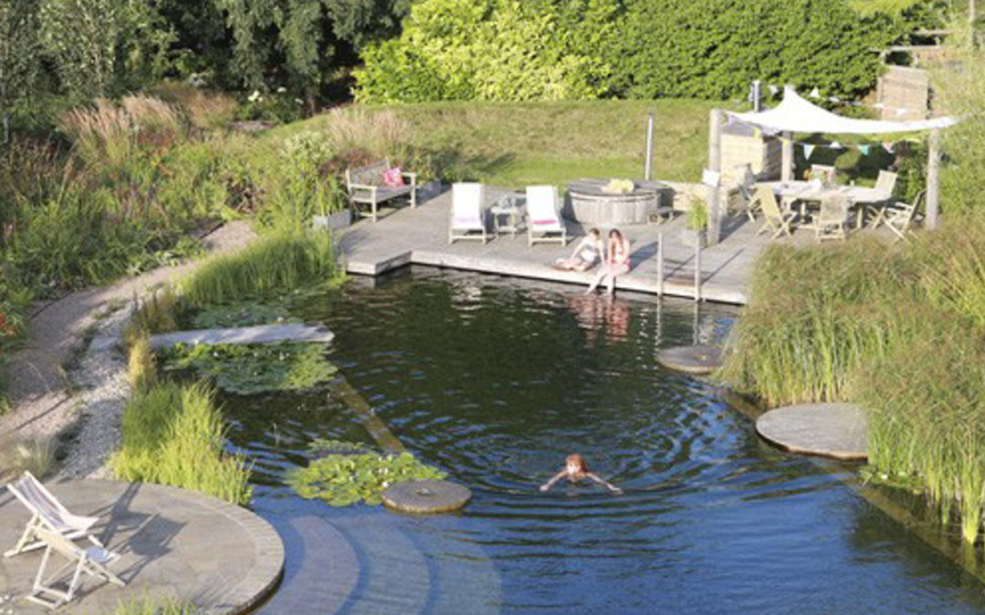 Visit Ellicar Gardens this summer