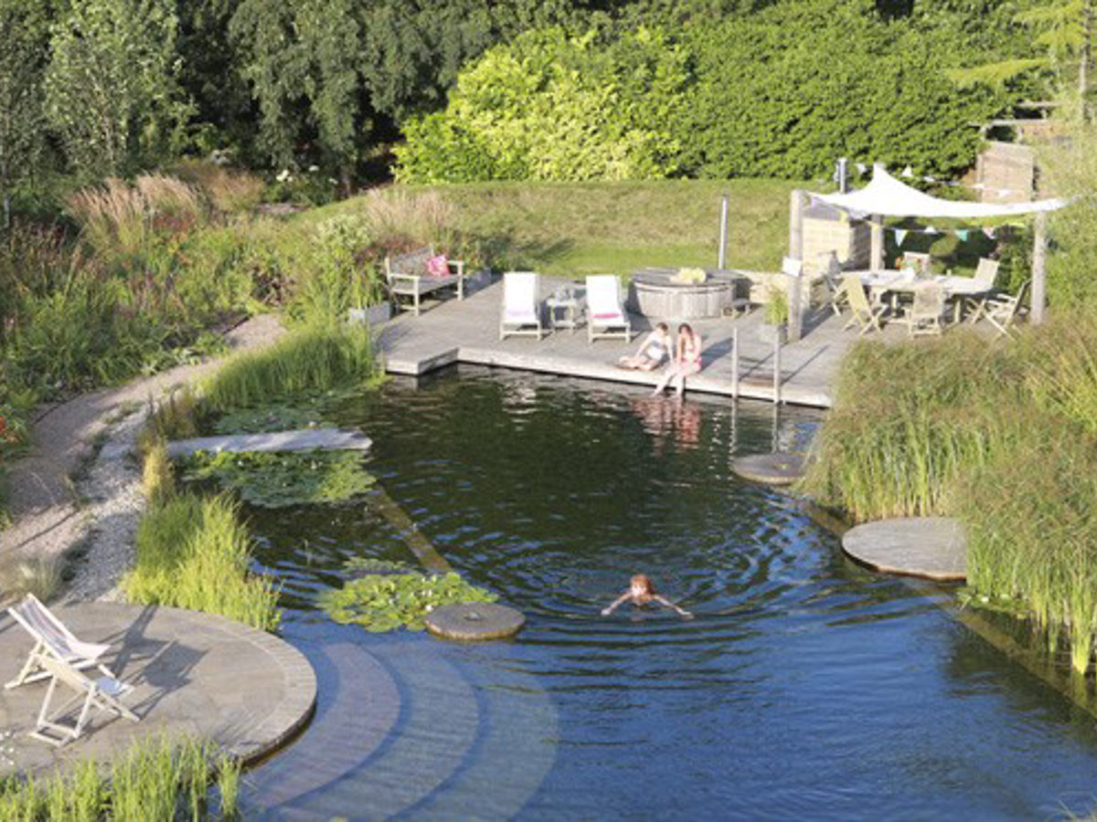 ellicar gardens – June 2019