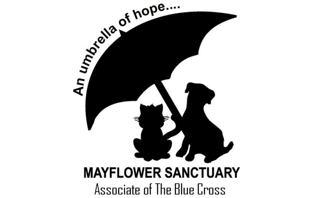 Mayflower Animal Sanctuary