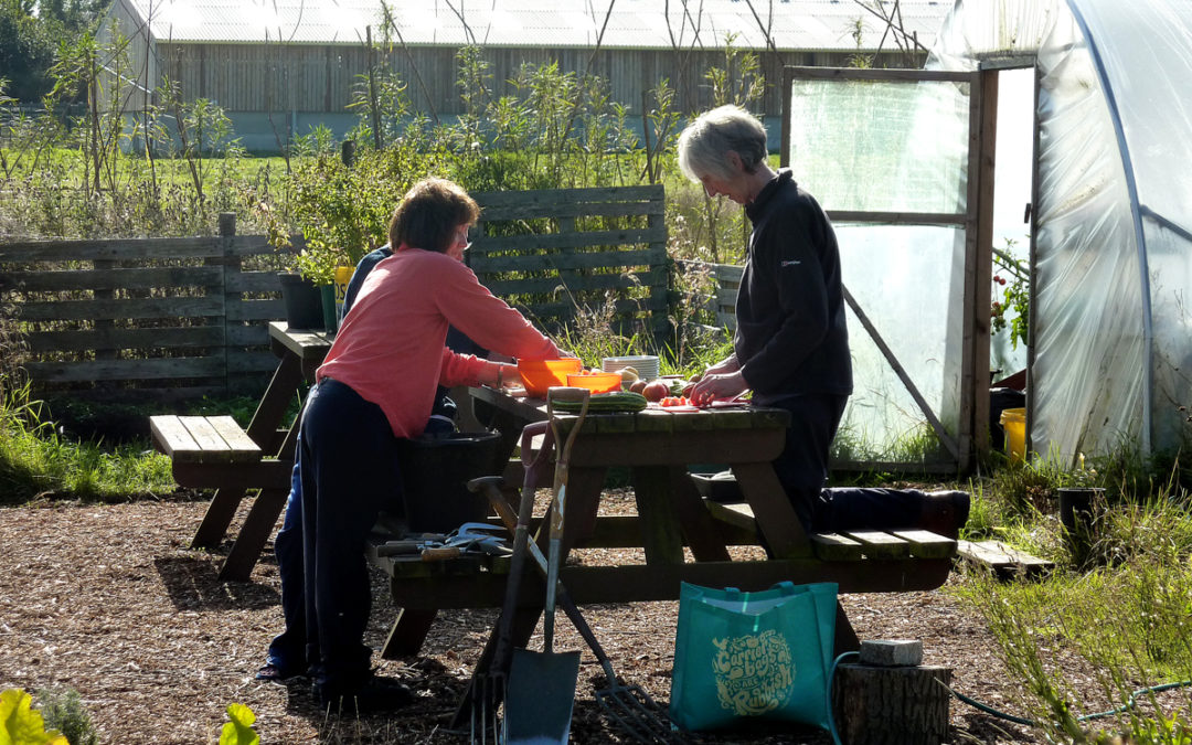 How are you feeling?