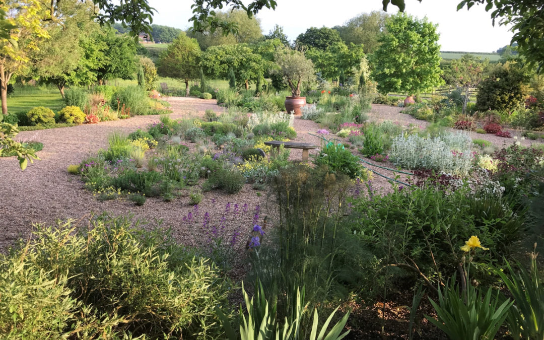 Glorious open gardens in June
