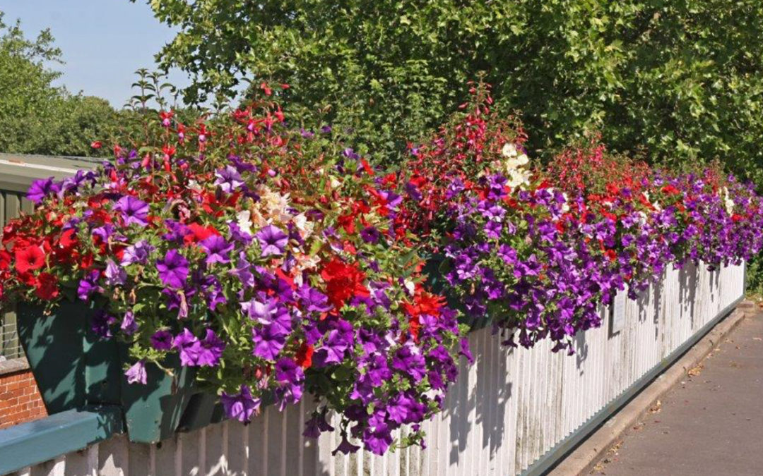 Retford in Bloom 2019 call for nominations