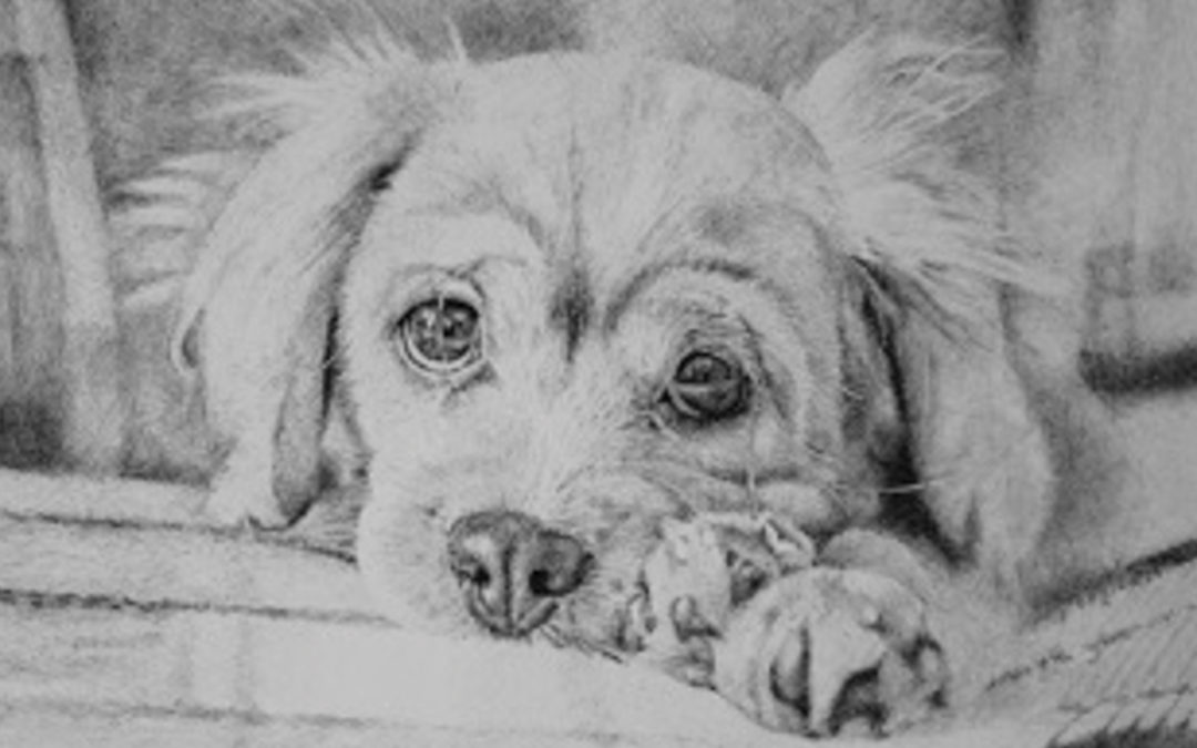 Local artist on display at Retford Hub