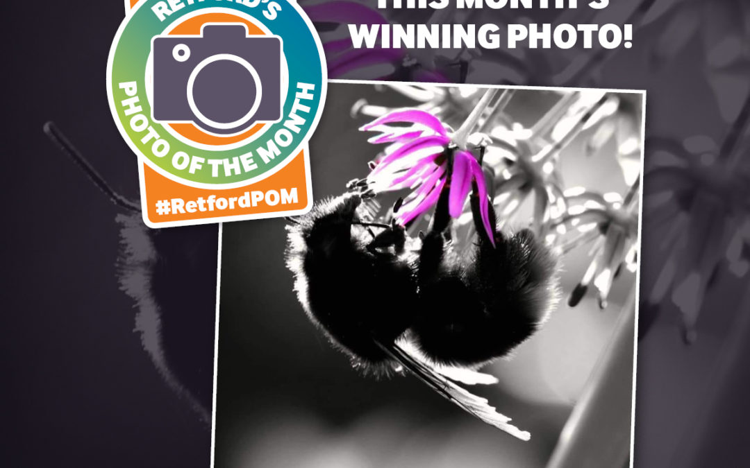 Retford’s Photo of the Month – July 2018 winner!