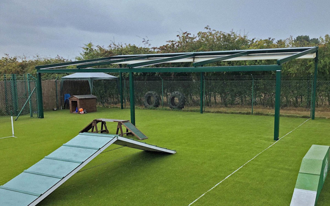 Dog training – rain or shine!