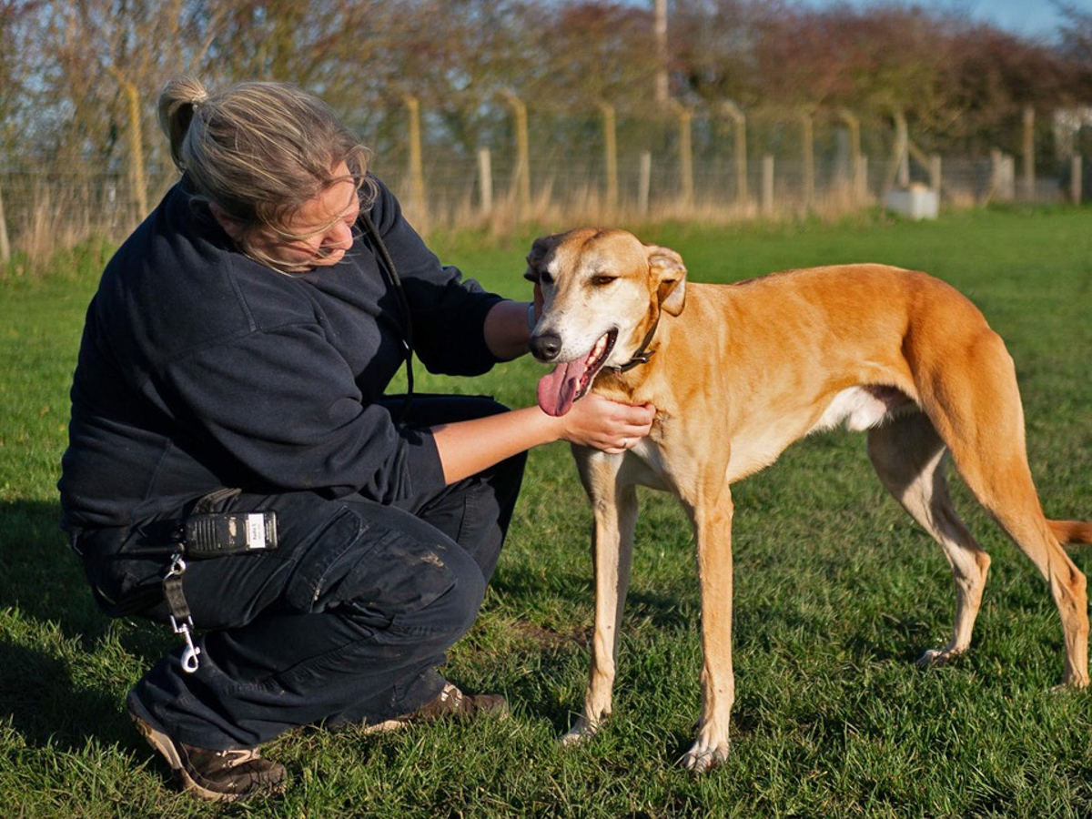 rspca doncaster – October 2019