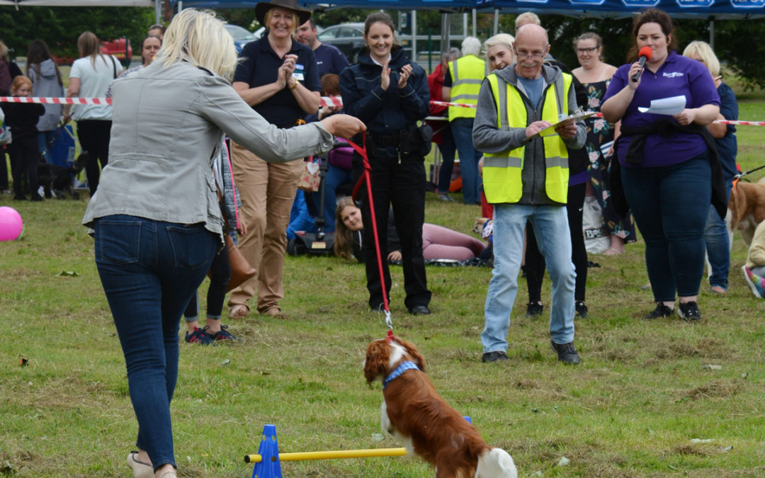 RSPCA Fun Dog Show