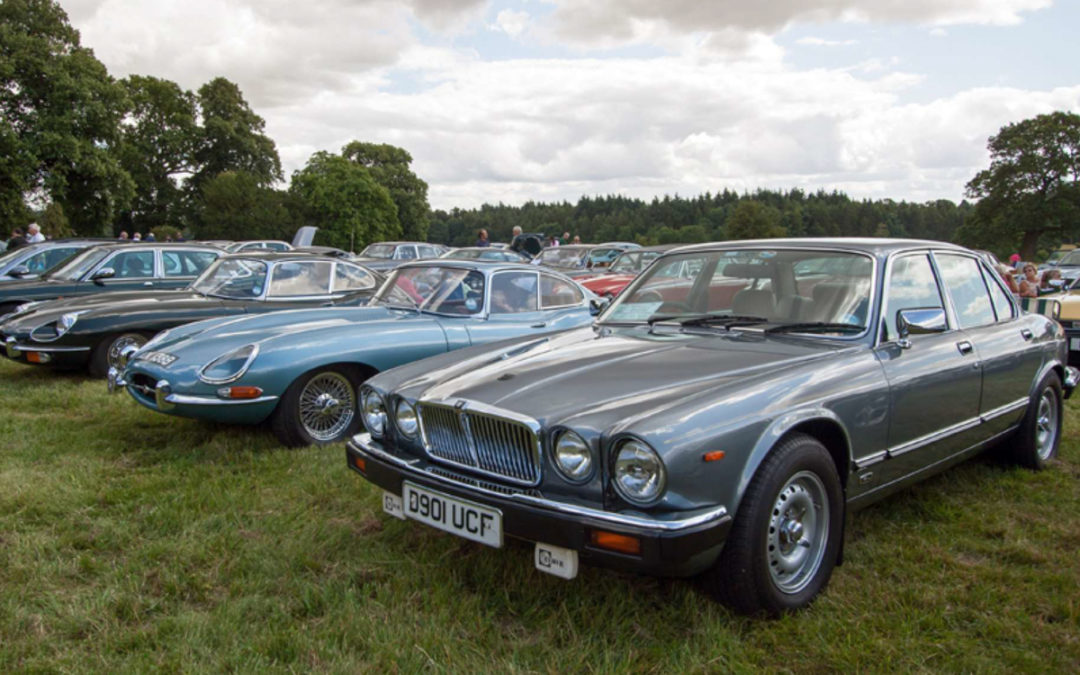 Square Wheels continues ‘Summer Sundays on the Square’