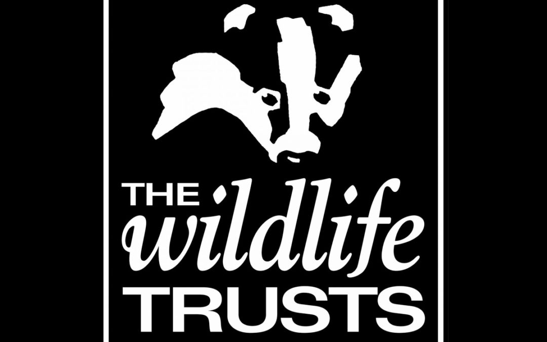 Notts Wildlife Trust Retford Group