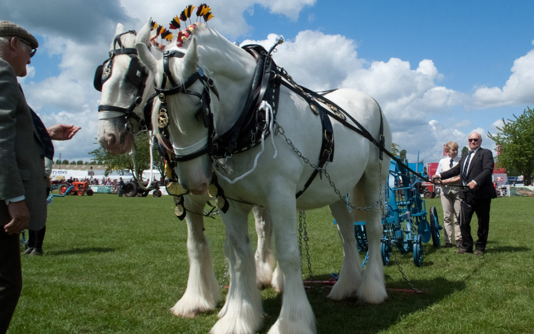 WIN Nottinghamshire County Show tickets with Worksop Life!