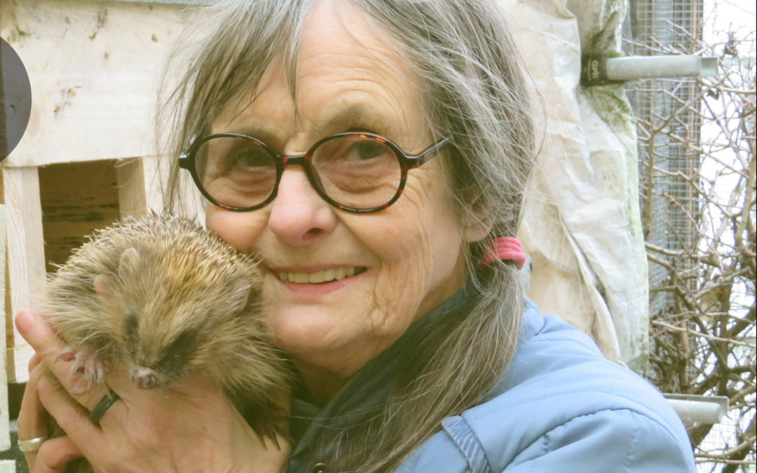 Help to fundraise for British Wildlife Rescue