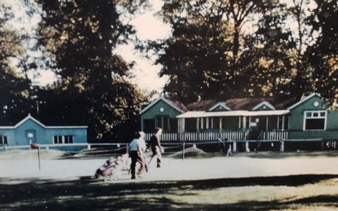 New Ping exhibition opens