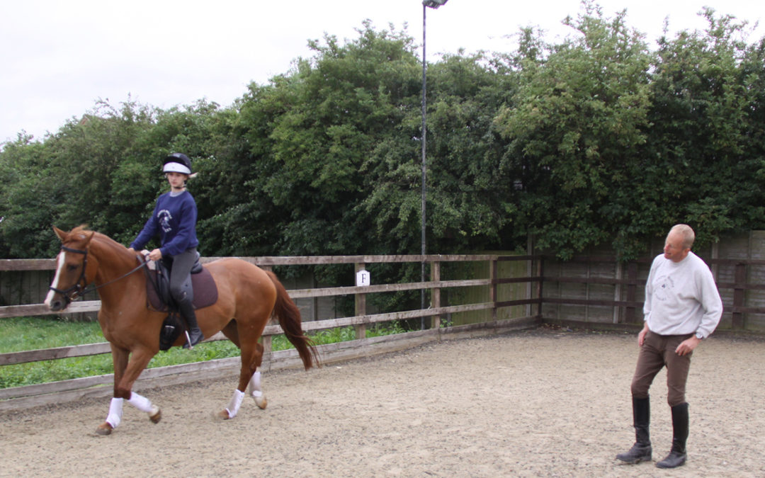 I – Pegasus at Grove House Farm
