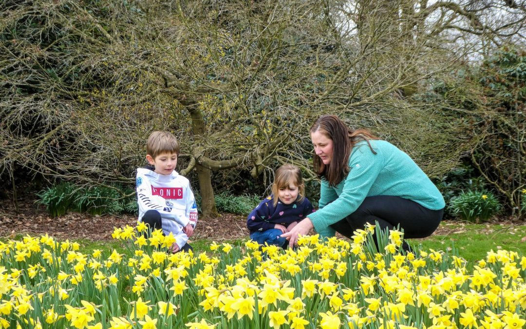 Wentworth’s ‘bird-spotting’ trail creates eggstra garden fun for Easter visitors