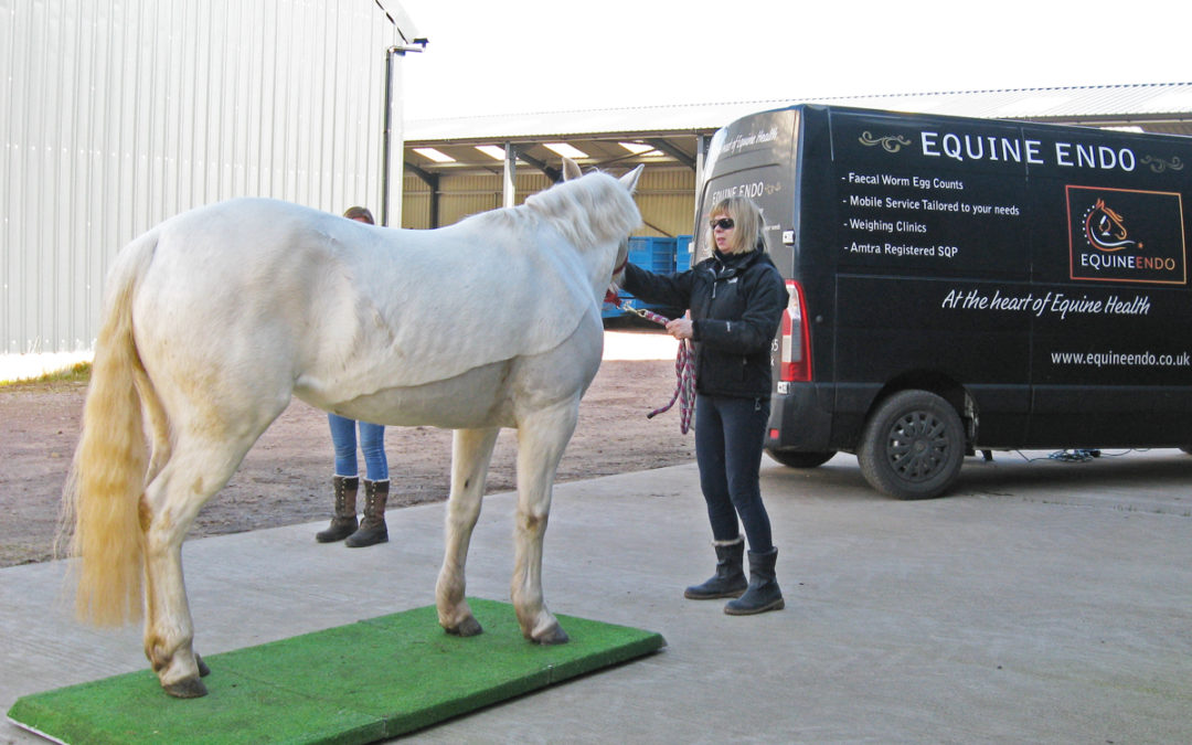 £5,999 to help local horse-riding for the disabled charity during current COVID-19 pandemic