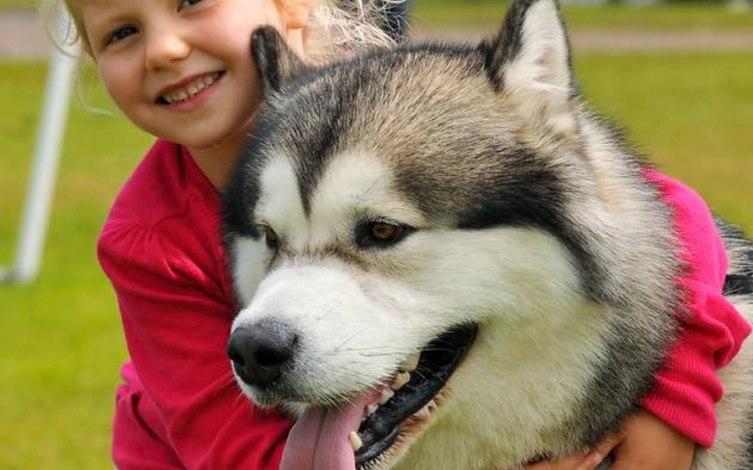 WIN tickets to All About Dogs with Worksop Life!