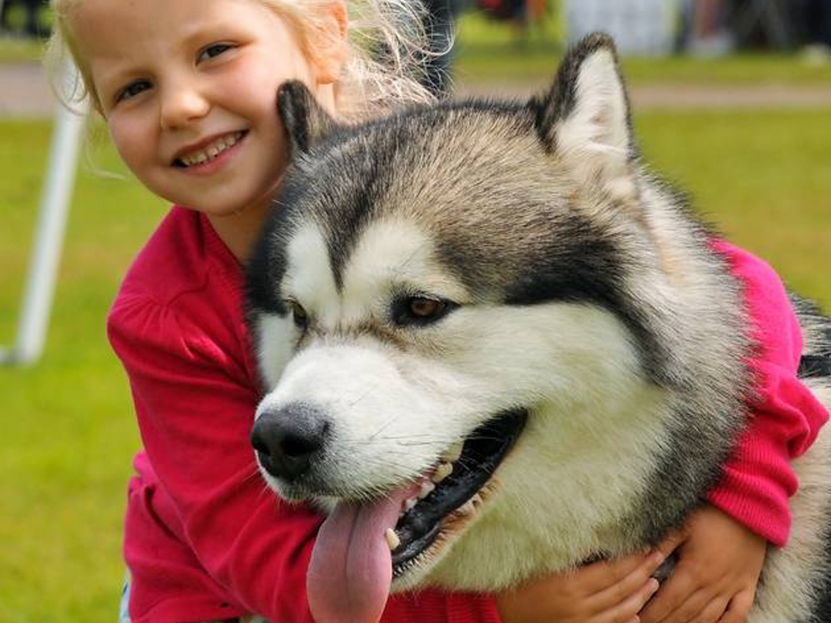 all-about-dogs-April-2019