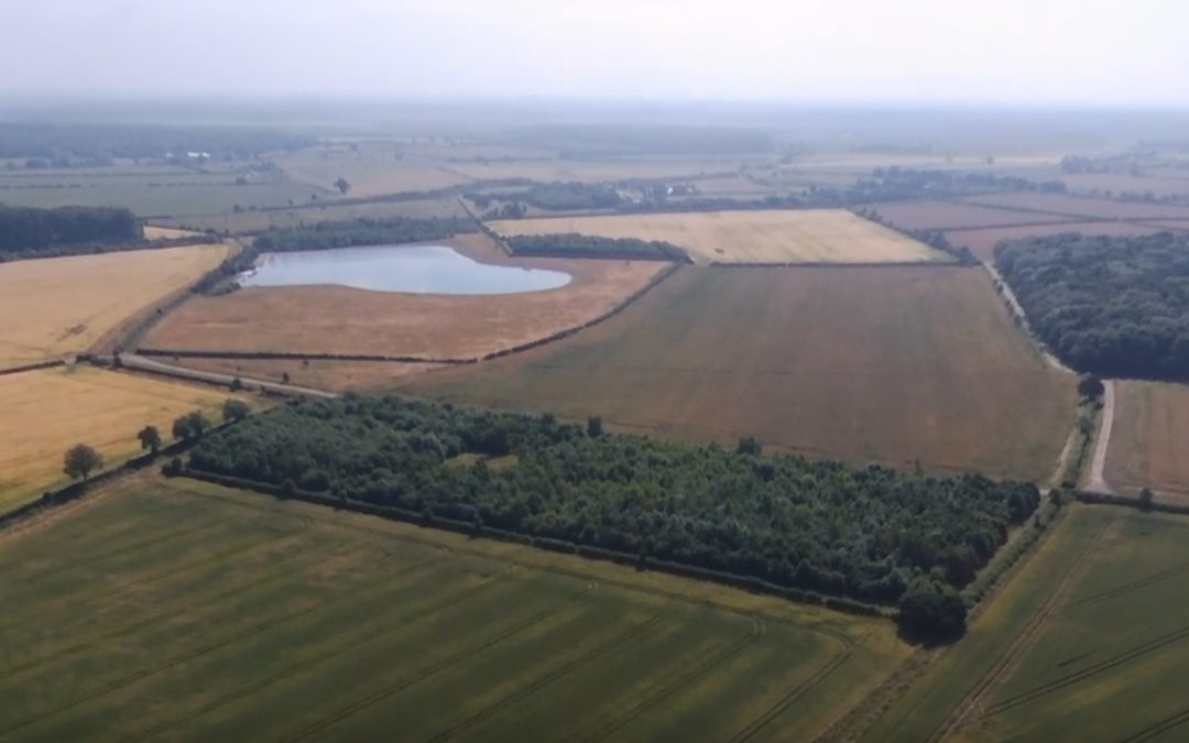 Bransby Horses secures future work with land purchase