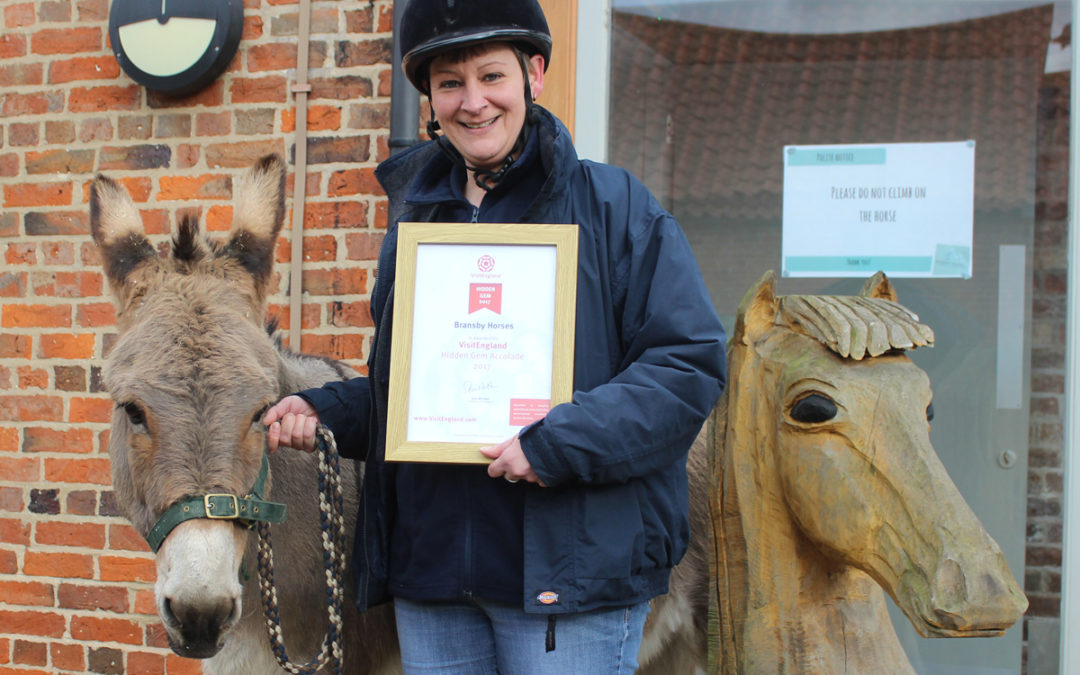 Bransby Horses crowned Hidden Gem
