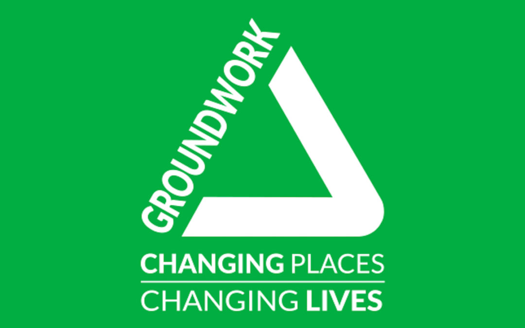 Free Woodland sessions at Brook Park in Shirebrook