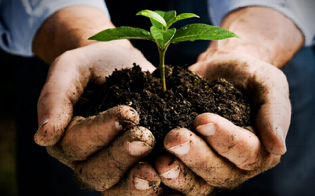 Kirton in Lindsey Amateur Gardeners meetings