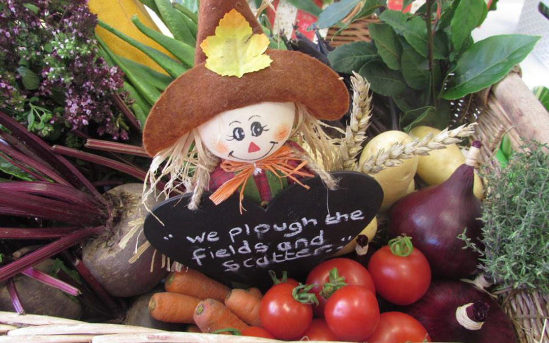 Maltby Town Council Horticultural Show 2018