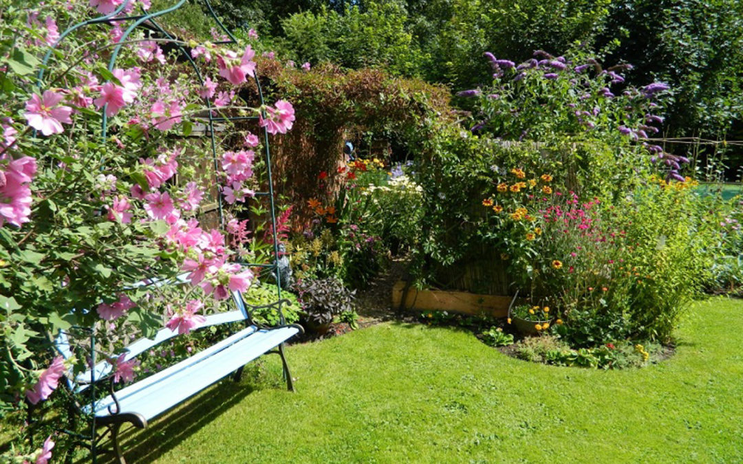 Lincolnshire NGS Open Gardens in June