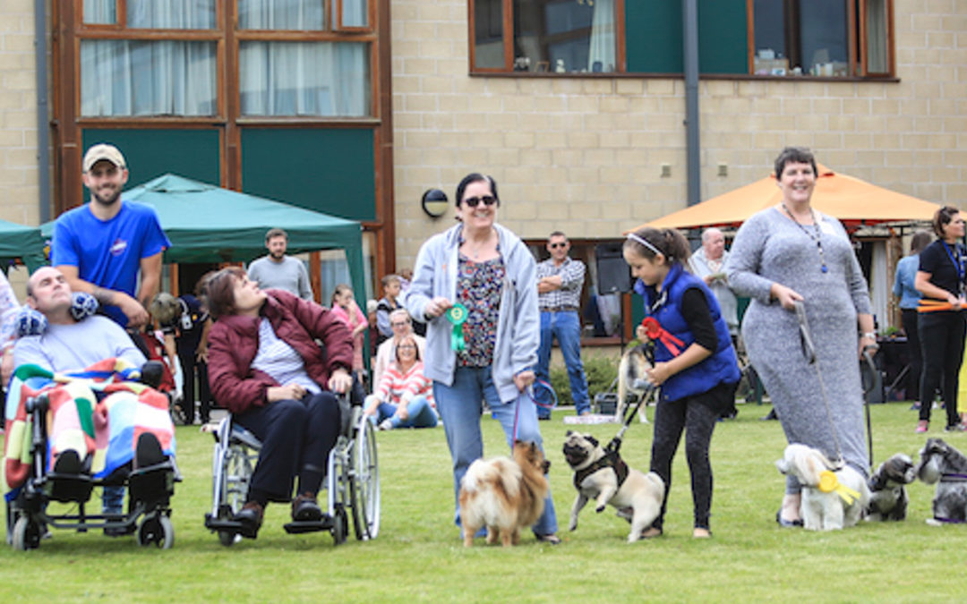 Pathfinders Dog Show