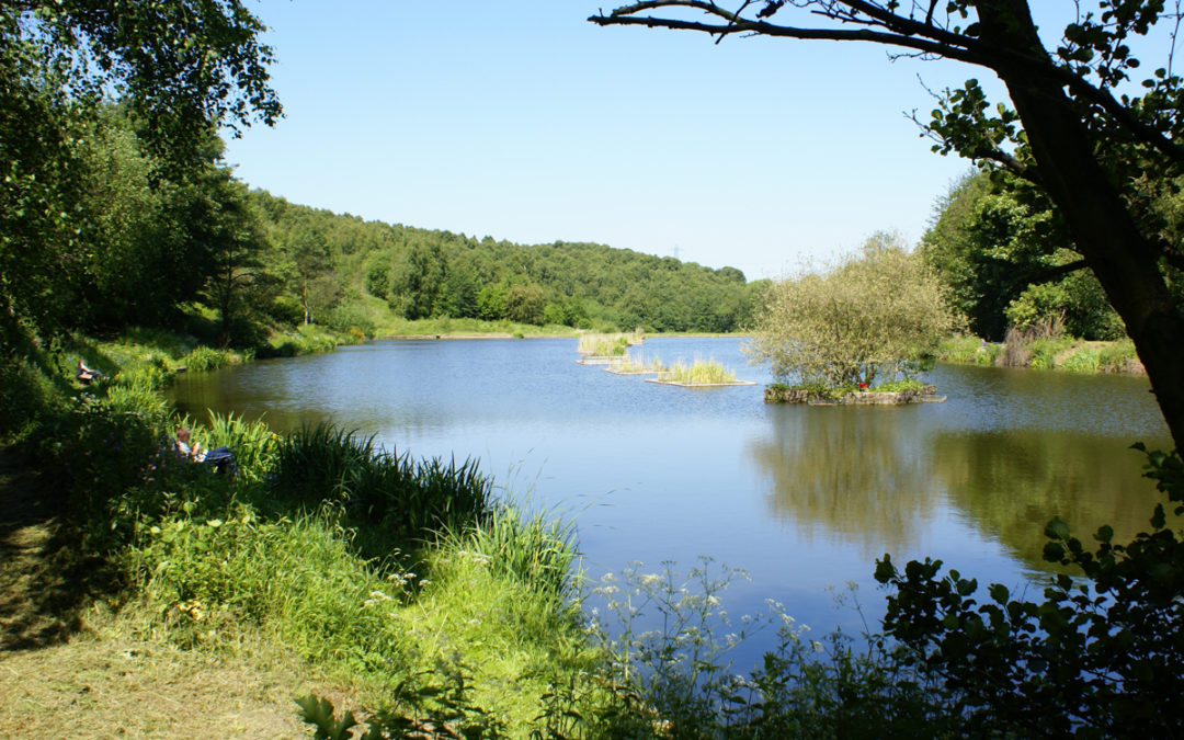 Ravenfield Angling Ponds