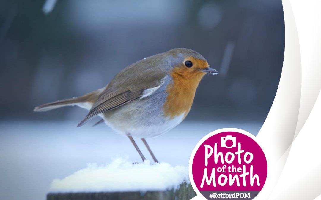 #RetfordPOM – January winner