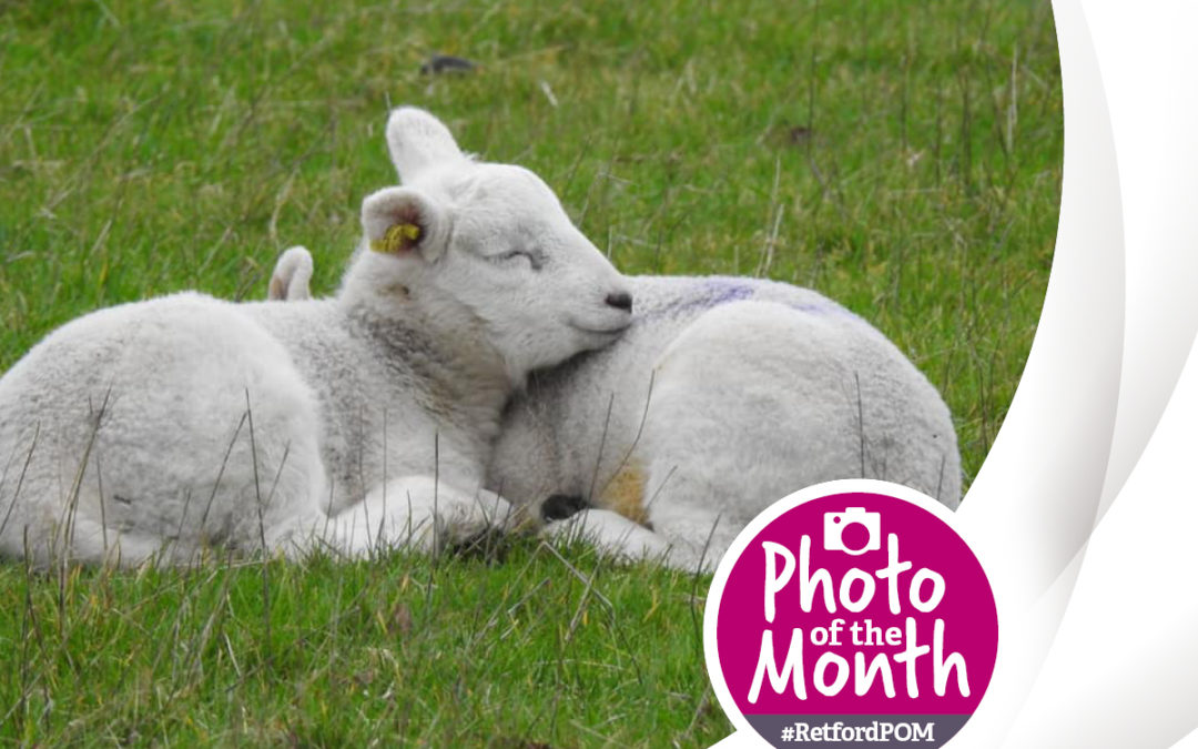 #RetfordPOM – February winner