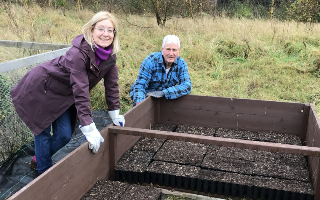 Making the most of a ‘mast year’ in Sherwood