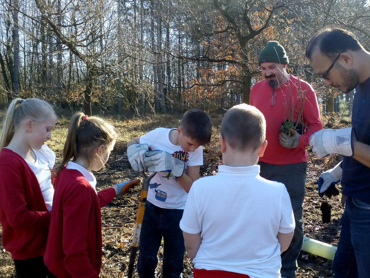 tree-planting-in-sherwood-forest-April-2019
