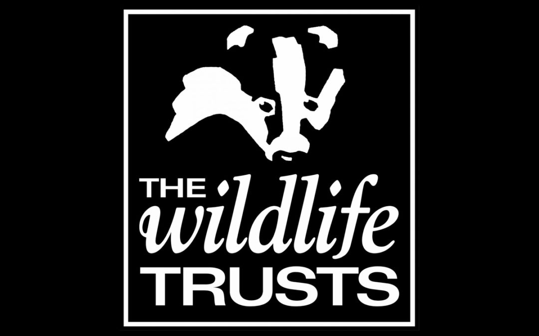 Wildlife Trust meetings