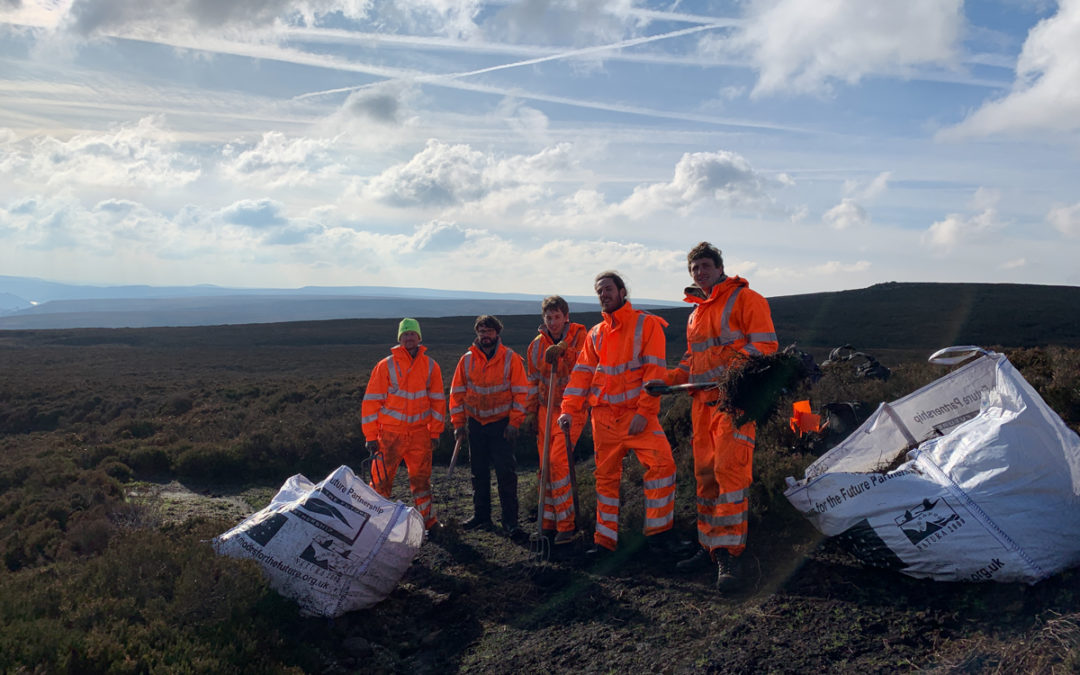 Environmental consultancy launches new website