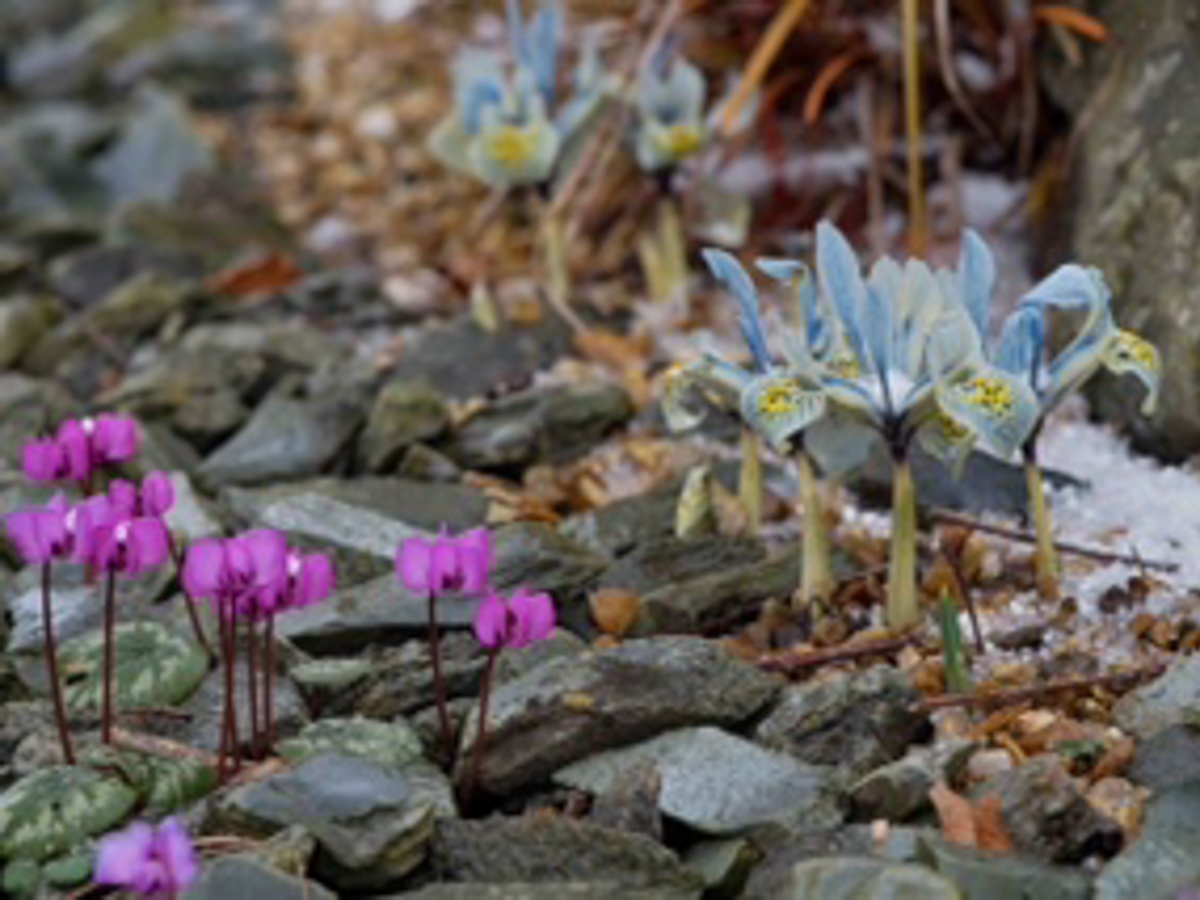 winthrop-gardens-March-2019