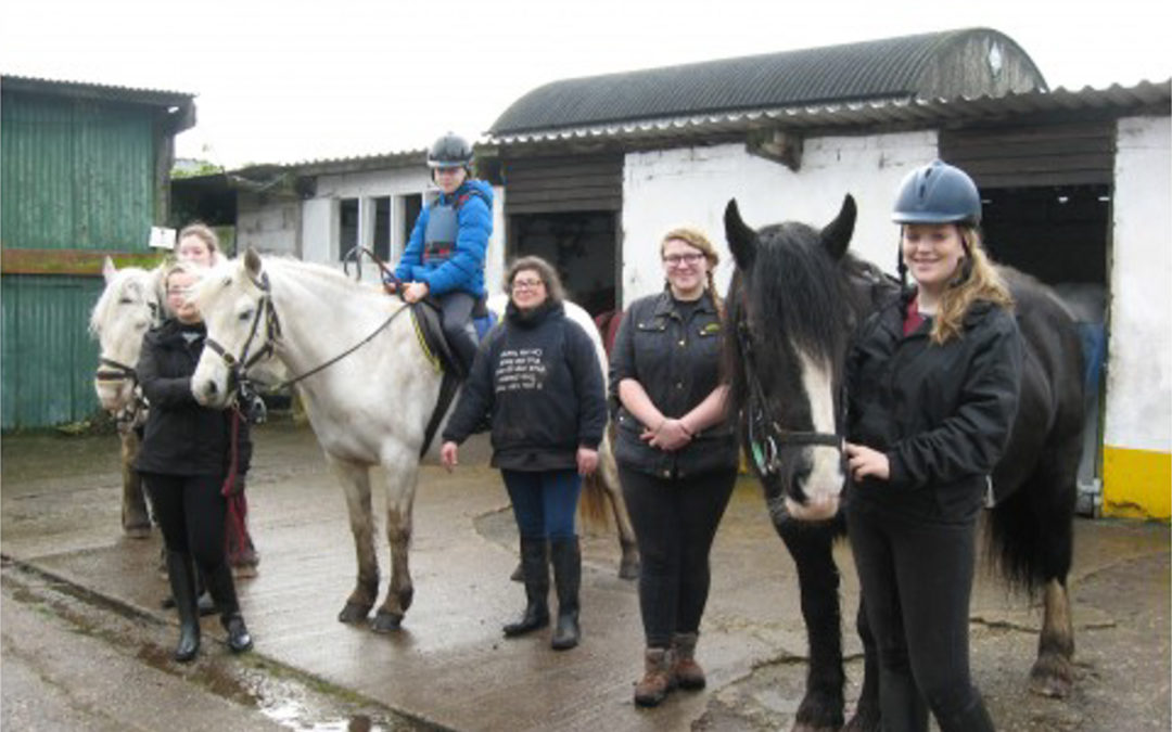 Woodside Farm Stables RDA has moved