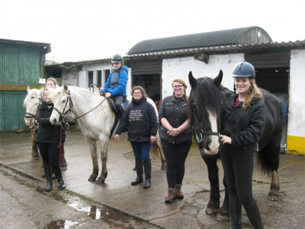woodsidefarmstables-January-2020