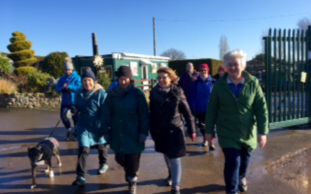 Wickersley walks