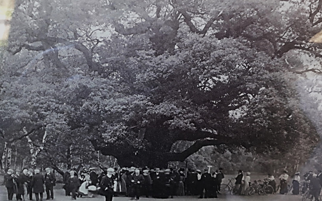 Edwinstowe Historical Society May 2021