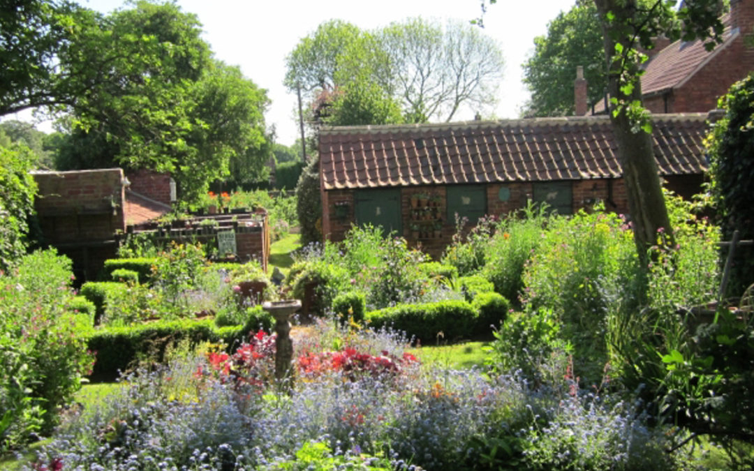 Help put local beautiful gardens in the picture