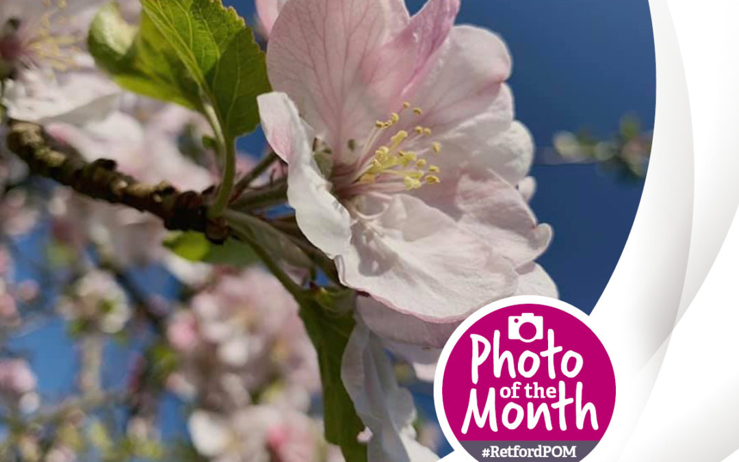 #RetfordPOM – May 2021 winner