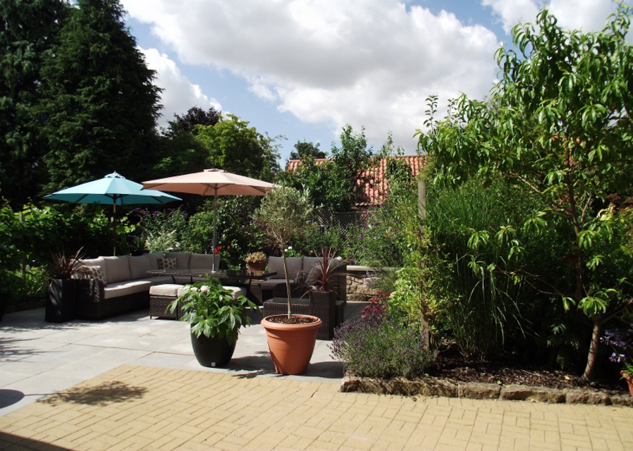 NGS open gardens in July