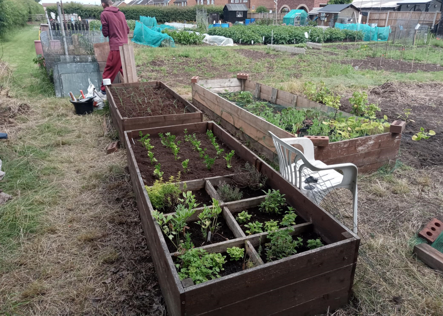 Rufford Avenue Allotment Group
