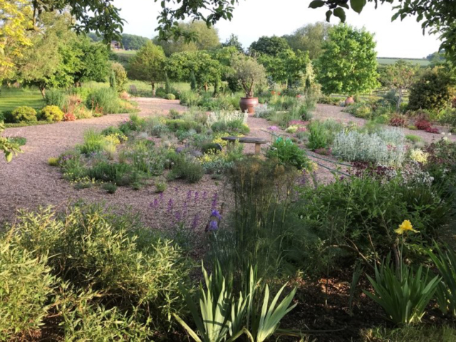 beesthorpe – July 2021